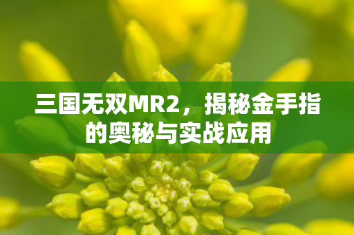 揭秘金手指的奥秘与实战应用图片