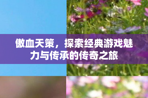 探索经典游戏魅力与传承的传奇之旅图片