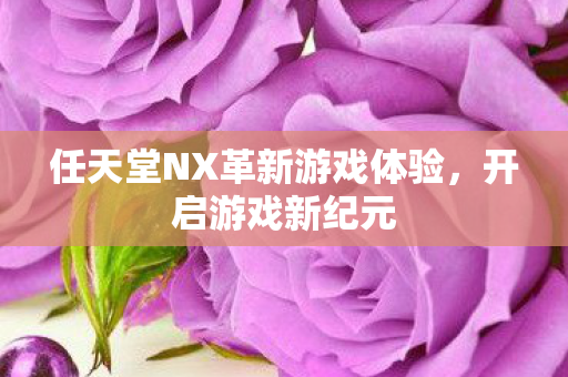 任天堂NX革新游戏体验图片