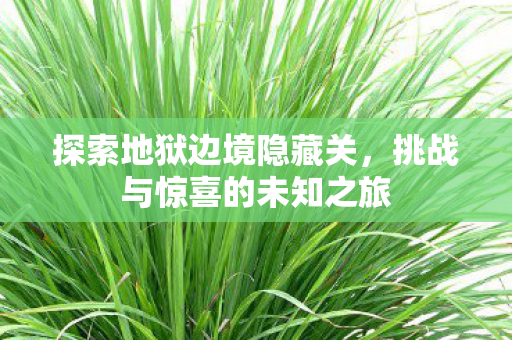 探索地狱边境隐藏关,挑战与惊喜的未知之旅 探索地狱边境隐藏关,挑战与惊喜的未知之旅