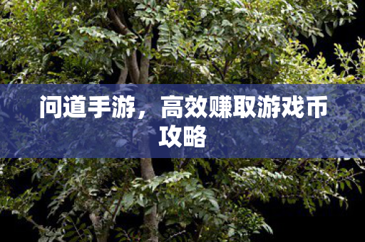 高效赚取游戏币攻略图片