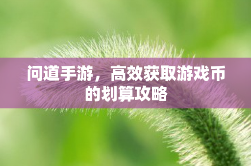 高效获取游戏币的划算攻略图片