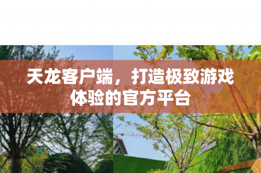 打造极致游戏体验的官方平台图片
