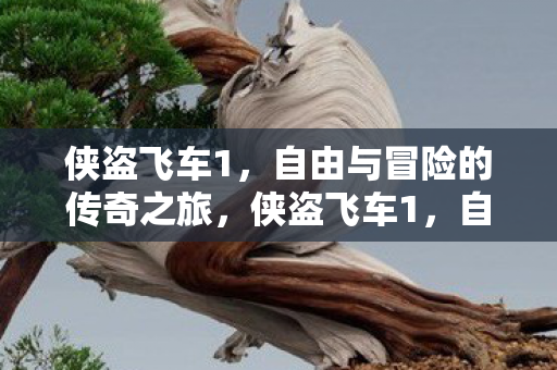自由与冒险的传奇之旅图片