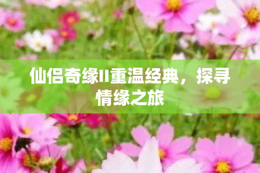 仙侣奇缘II重温经典图片