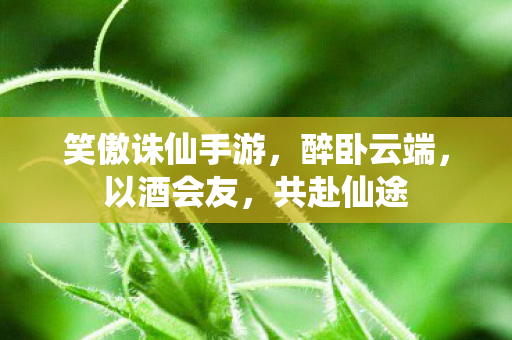 笑傲诛仙手游图片