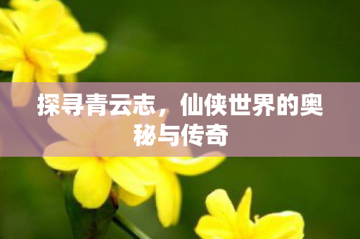 仙侠世界的奥秘与传奇图片