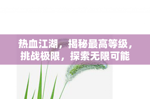 揭秘最高等级图片