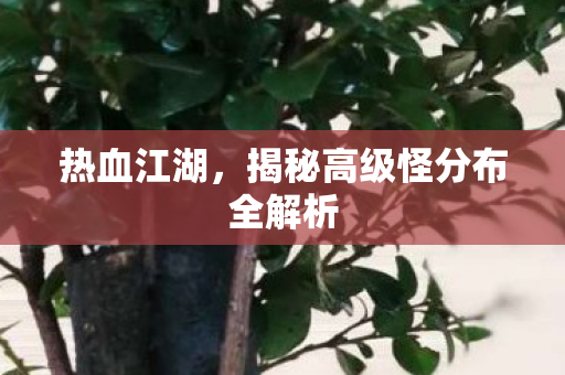 揭秘高级怪分布全解析图片