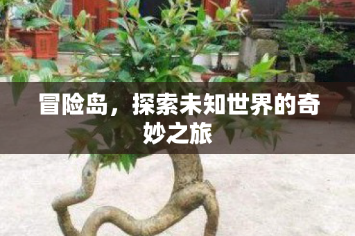 探索未知世界的奇妙之旅图片