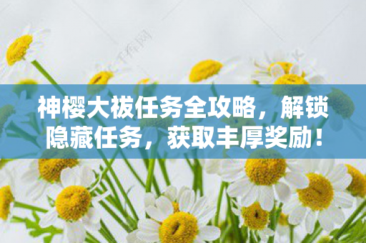 神樱大祓任务全攻略图片