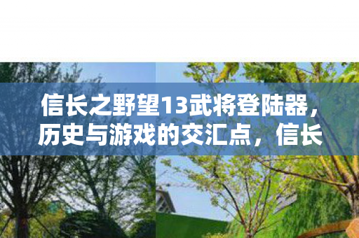信长之野望13武将登陆器图片
