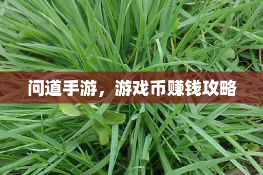 游戏币赚钱攻略图片