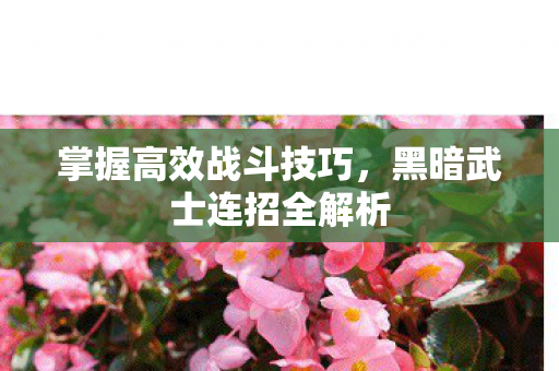 黑暗武士连招全解析图片