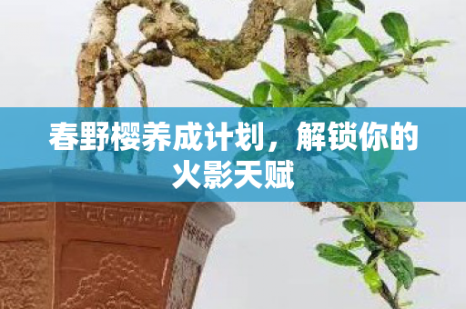 解锁你的火影天赋图片