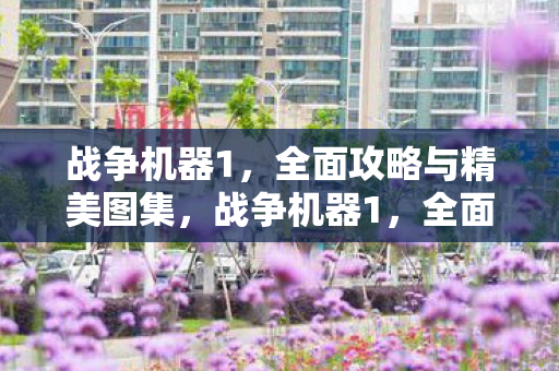 全面攻略与精美图集图片