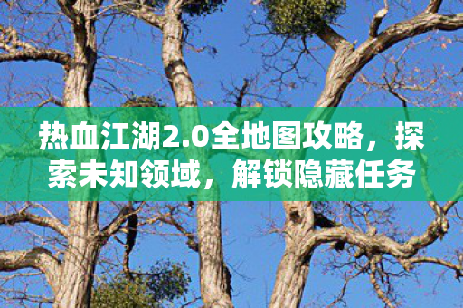 热血江湖2.0全地图攻略，探索未知领域，解锁隐藏任务！
