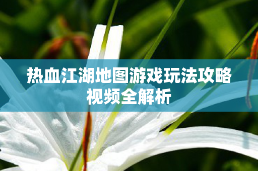 热血江湖地图游戏玩法攻略视频全解析 热血江湖地图游戏玩法攻略视频全解析