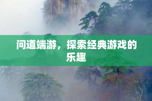 探索经典游戏的乐趣图片