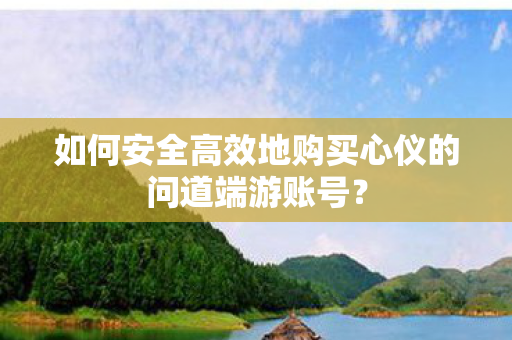 如何安全高效地购买心仪的问道端游账号图片