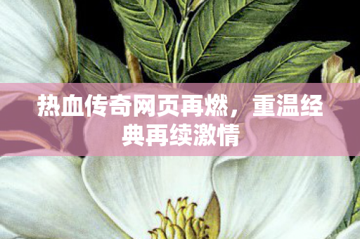 热血传奇网页再燃图片