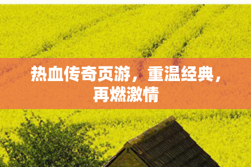 热血传奇页游图片