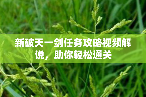 新破天一剑任务攻略视频解说图片