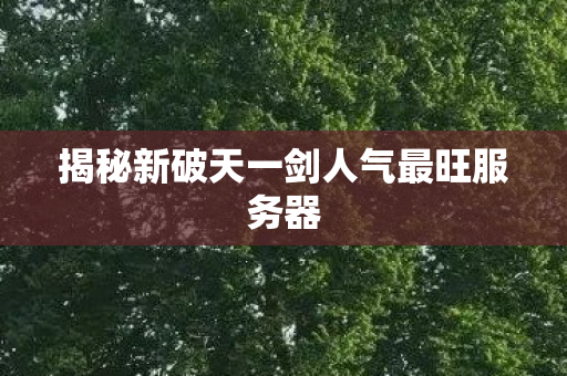 揭秘新破天一剑人气最旺服务器图片