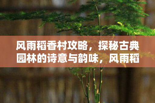 探秘古典园林的诗意与韵味图片