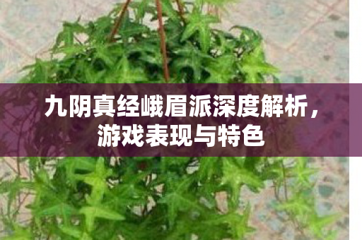 九阴真经峨眉派深度解析图片