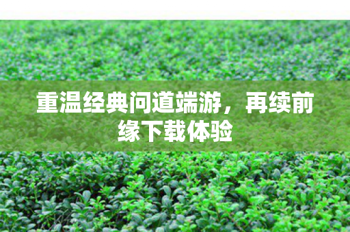 重温经典问道端游图片