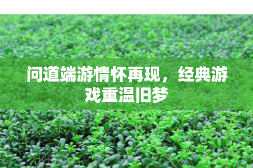 问道端游情怀再现图片