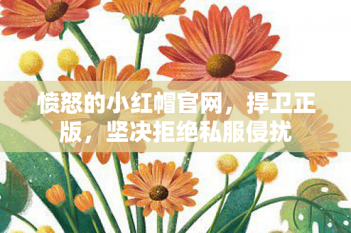 愤怒的小红帽官网图片
