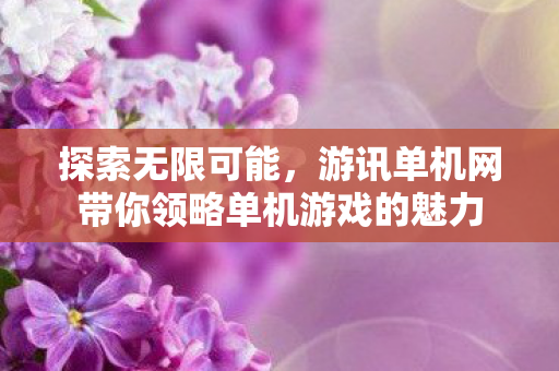 游讯单机网带你领略单机游戏的魅力图片