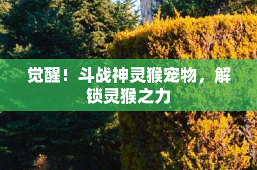 斗战神灵猴宠物图片
