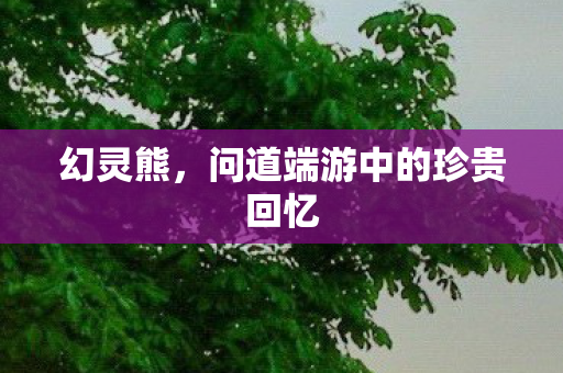问道端游中的珍贵回忆图片