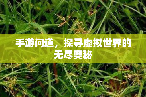 探寻虚拟世界的无尽奥秘图片