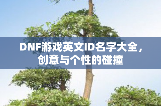 DNF游戏英文ID名字大全图片