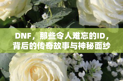 背后的传奇故事与神秘面纱图片