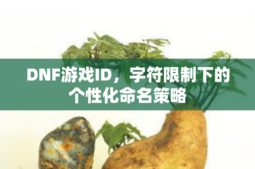 字符限制下的个性化命名策略图片