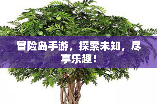 冒险岛手游图片