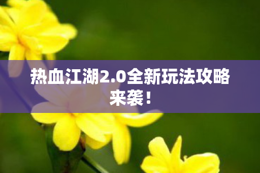 0全新玩法攻略来袭图片