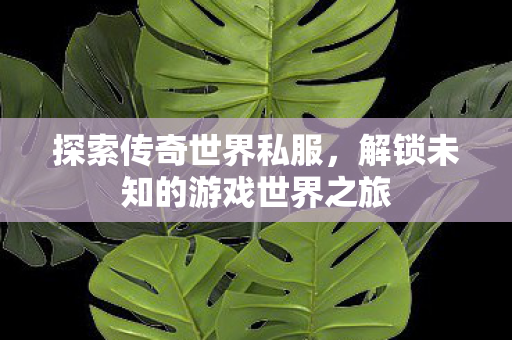 解锁未知的游戏世界之旅图片