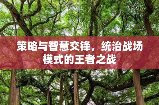 统治战场模式的王者之战图片