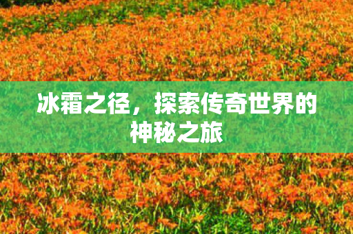 探索传奇世界的神秘之旅图片