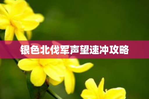 银色北伐军声望速冲攻略图片
