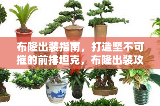 打造坚不可摧的前排坦克图片