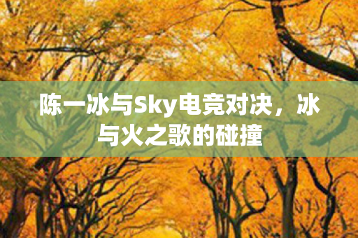陈一冰与Sky电竞对决图片