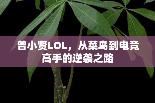 从菜鸟到电竞高手的逆袭之路图片