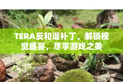 TERA反和谐补丁图片